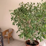 Casa Di Gigi Vakantiehuis *