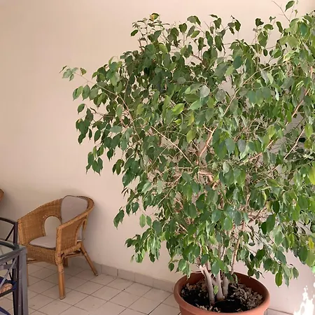 Casa Di Gigi Holiday home *